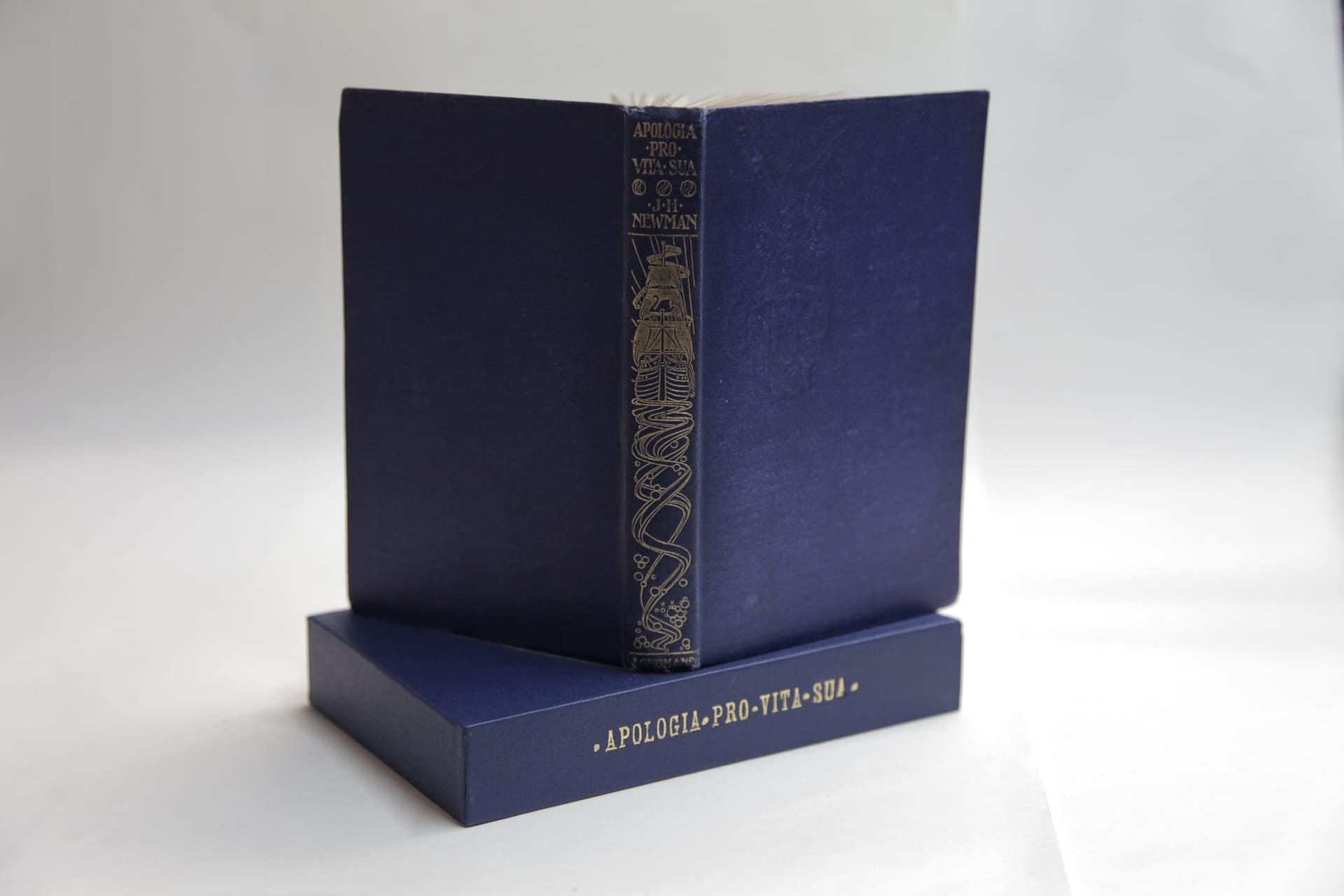 Blue slipacse with title in gold on the spine