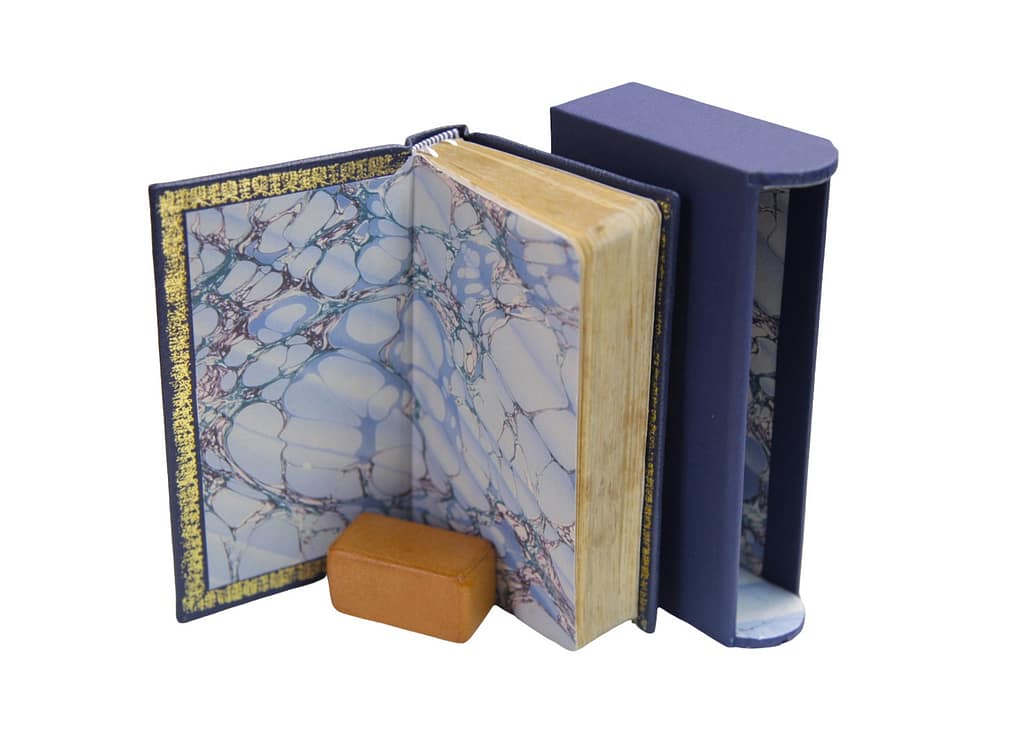 Repair Design 1 Pixelcut edited