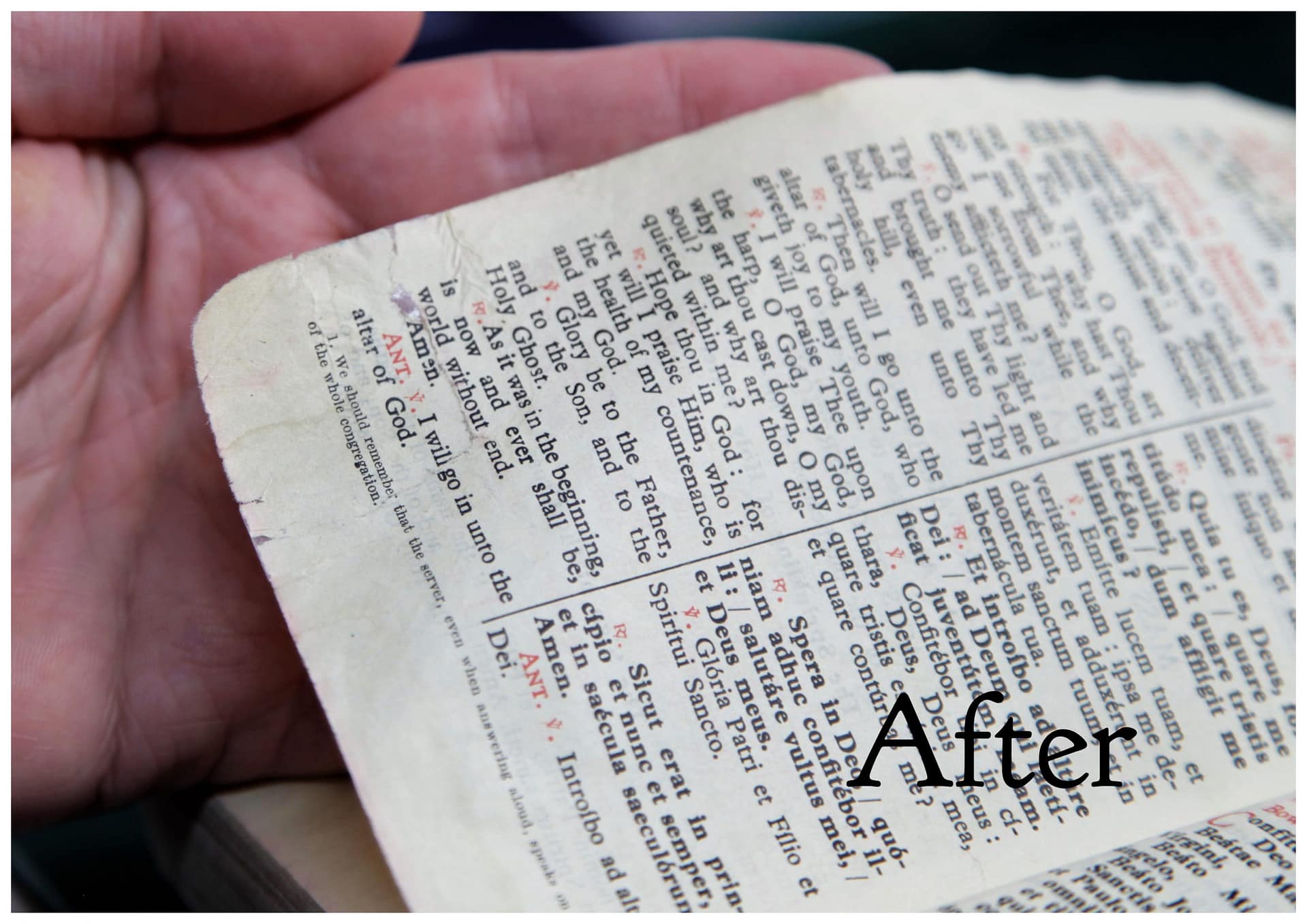 Torn corner of a book page repaired with Japanese tissue