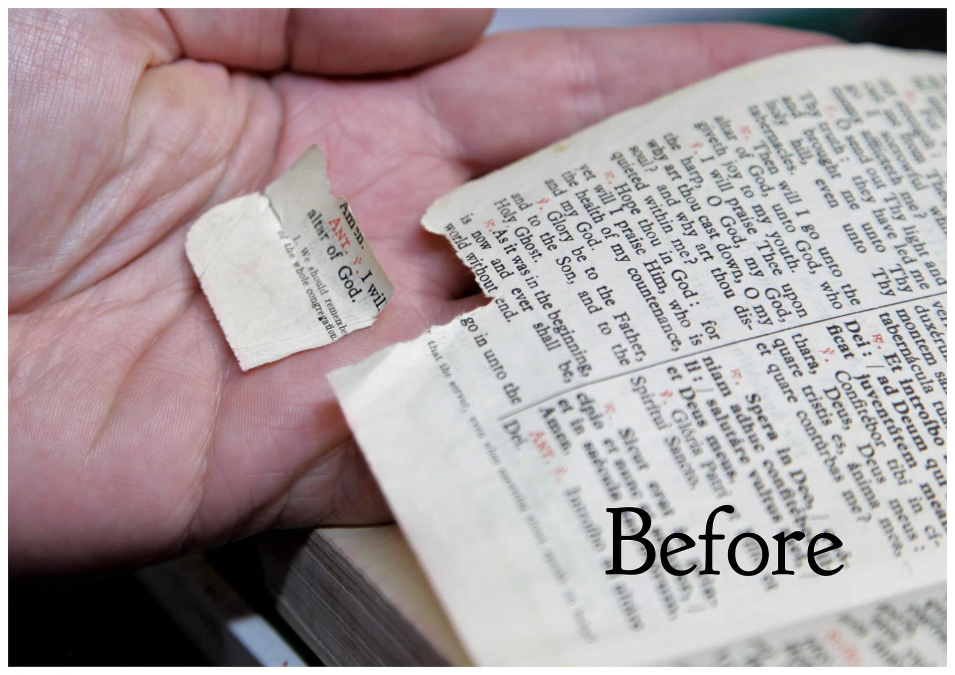 Torn corner of a book page